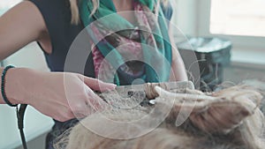 Hairdresser in the process of doing curls, using a curling iron.