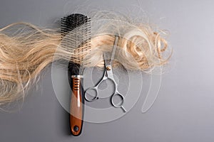 Hairdresser professional thinning scissors or shears and hairbrush with matted curl of blonde hair on grey background. Beauty