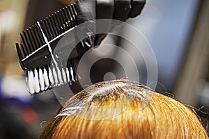 hairdresser\'s hand in a glove paints the regrown hair roots with a brush.