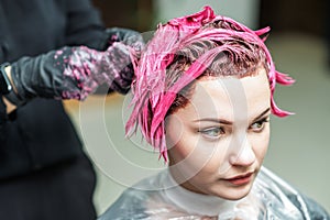 Hairdresser`s hands are applying pink color to customer`s hair