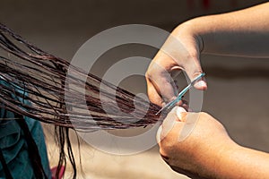 Hairdresser`s hands use scissors to cut the hair.