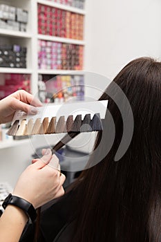 The hairdresser selects the color of the paint using a palette of hair colors