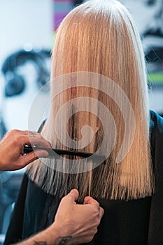 Hairdresser trimming hair with scissors