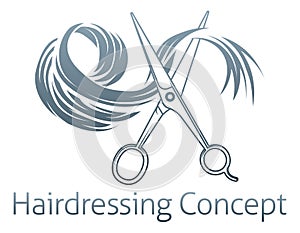 Hairdressing Concept