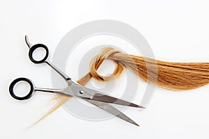 Hairdressing scissors with blonde hair. Isolated.