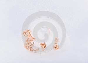 Hairgrip with veil at white background