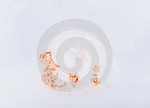 Hairgrip with veil at white background photo