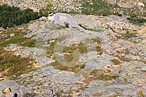 Hairpin bent in Portuguese mountains