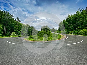 Hairpin Curve Through Forest