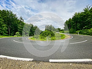 Hairpin Curve Through Forest