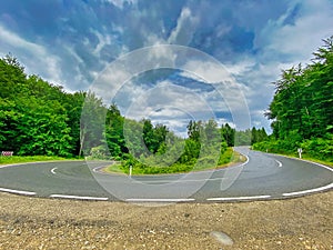 Hairpin Curve Through Forest