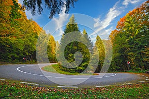 A hairpin in a mountain road in autumn colored forest at sunrise