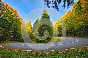 A hairpin in a mountain road in autumn colored forest at sunrise