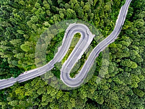 Hairpin turn winding road trough the forest