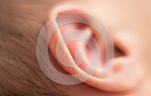 Hairs on the ear of a newborn baby, cute, body parts, macro shot, close-up selective focus.