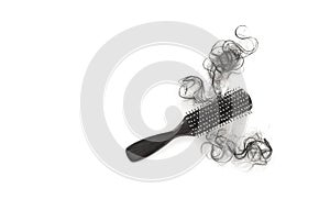 Hairs loss in brush on white background, blank text