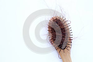 Hairs loss fall in comb on white background