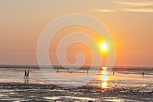 Hairs to relax on the sea in the sunset.