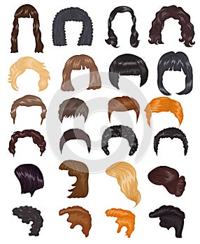 Hairstyle woman vector female haircut on short or long hair and wigs illustration hairdressing or haircutting with photo