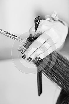 Hairstylist cutting hair of female customer photo