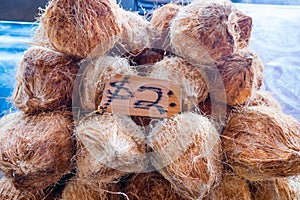 Hairy brown coconuts in husks for sale at Fugalei fresh produce