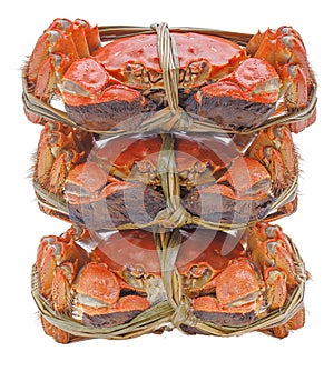 Hairy crabs on the Bamboo steamer Isolated in