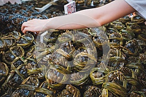 Hairy crabs for sale on fish market, Hongkong