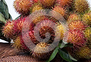 Hairy Fruit Rambutan Indonesia