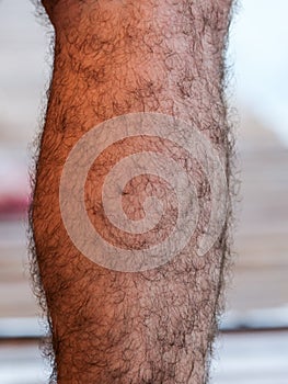 The hairy legs of a man