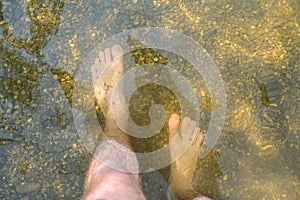 Hairy man legs with knees and feet. Man standing in lake with bare feet. Low clear water with gravel