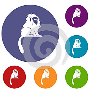 Hairy monkey icons set