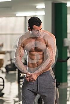 Hairy Muscular Man Flexing Muscles In Gym