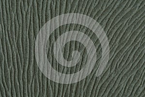 hairy natural fur pattern texture background. Image photo