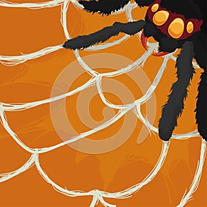 Hairy Spider Expecting for a Prey in its Cobweb, Vector Illustration