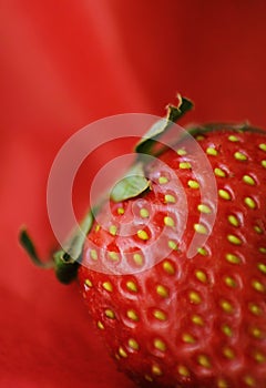 Hairy strawberry macro