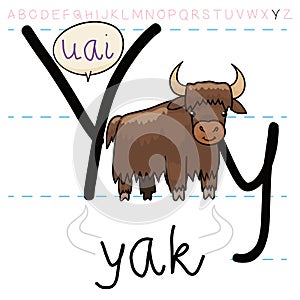 Hairy Yak Teaching at you the Alphabet, Vector Illustration