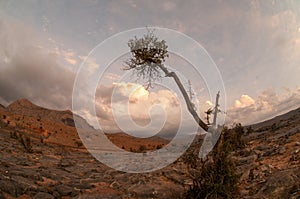 Hajar mountains, Oman