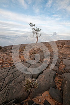 Hajar mountains, Oman