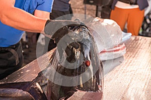 Hakata Japan Tuna Demolition Show