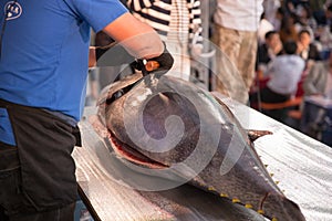 Hakata Japan Tuna Demolition Show