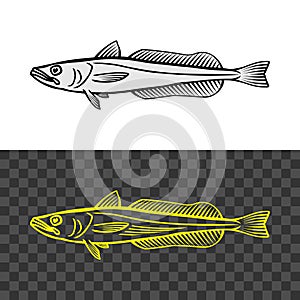 Hake fish common illustration. Cape hake logo.