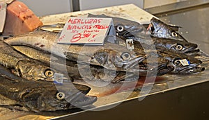 Hake fish for sale