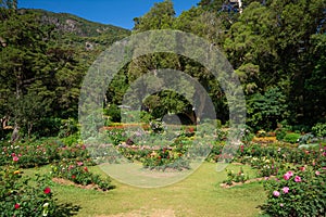 Hakgala Botanical Garden, Nuwara eliya, Sri Lanka.