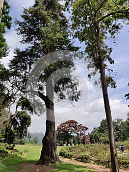 Hakgala Botanical Garden situated on the Nuwara Eliya-Badulla main road