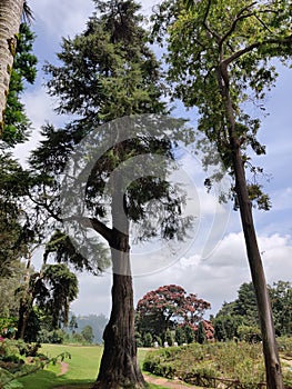 Hakgala Botanical Garden situated on the Nuwara Eliya-Badulla main road photo
