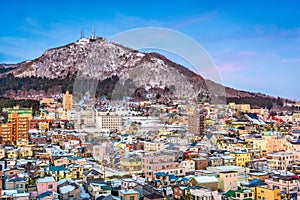 Hakodate Mountain and Skyline