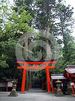 Hakone Shrine's Torii, Japan
