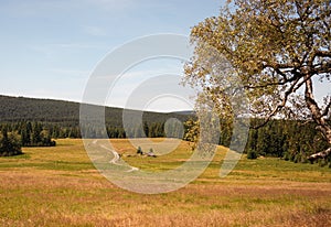 At Hala Izerska in the Izerskie Mountains in Poland