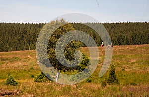 At Hala Izerska in the Izerskie Mountains in Poland