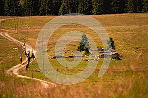 At Hala Izerska in the Izerskie Mountains in Poland